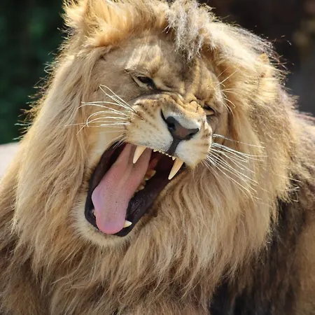 Gitti * Ueckermünde